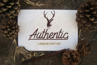 Authentic Font for Professional and Memorable Branding
