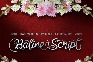 Baline Script: A Spontaneous Decorated Typeface for Editorial Design
