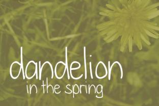 Dandelion in the Spring Font Review for Handmade Brands