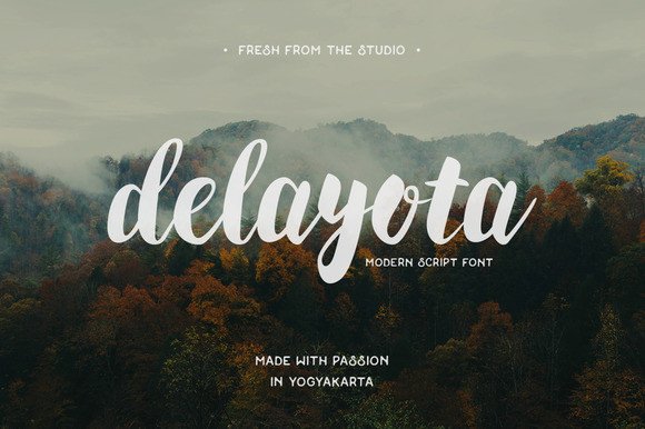 Delayota: A Bold Script Handwritten Font for Modern Web Design