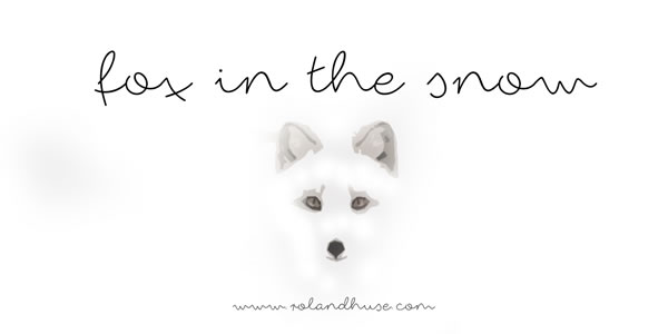 Fox in the Snow Font Review