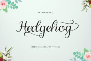 Hedgehog Font Review: A Unique Script Handwritten Design