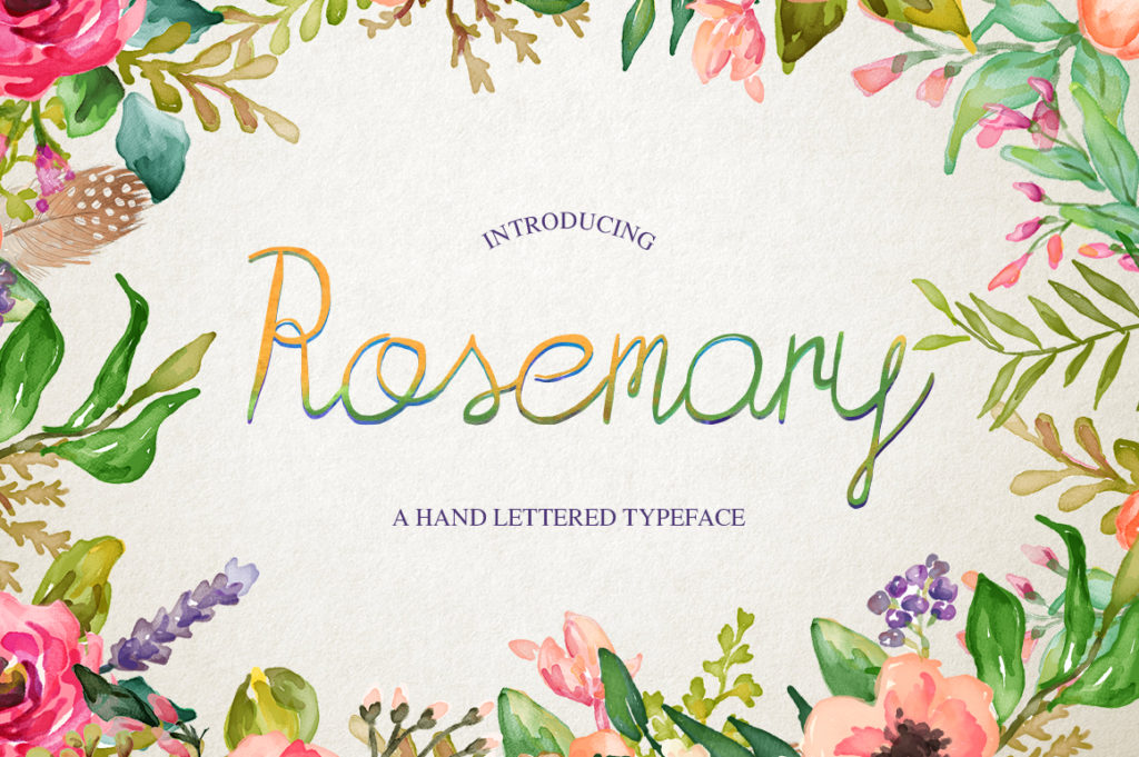 Rosemary Font: A Handwritten Typeface for Editorial Elegance