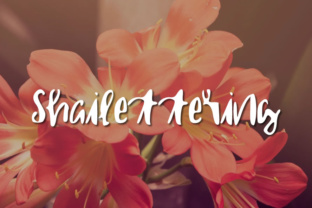 Shailettering Font for Personalized Campaign Visuals
