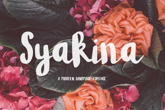 Syakina Brush Font Review for Modern Campaign Design